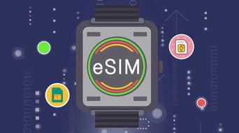 eSIM的“小灵通时刻” 一场关于过渡、觉醒与宿命的数字隐喻